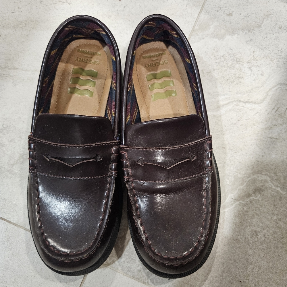 Sperry Boy's Dark Brown Leather Loafers